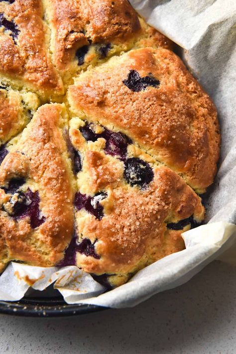 Gluten free blueberry scones (nut free, gum free) - George Eats Lactose Free Whipped Cream, Gluten Free Blueberry Scones, Blueberry Gluten Free, Gluten Free Scones, Gluten Free Sourdough, Blueberry Scones, Scone Recipe, Lactose Free, Cake Tins