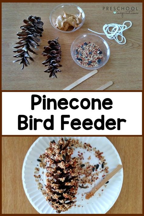 How to make a classic pinecone bird feeder! It's a fun diy pinecone craft for kids that doubles as a nature and science exploration! Preschool Pinecone Activities, Pinecone Preschool Activities, Pinecone Bird Feeder, Pinecone Projects, Bird Feeders For Kids To Make, Preschool Inspirations, Nature Crafts For Kids, Pine Cone Bird Feeder, Thanksgiving Activities Preschool