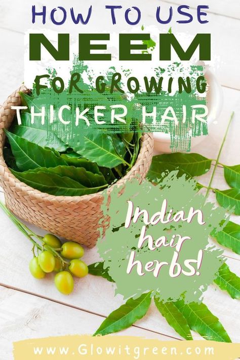 Fungeek For Hair, Neem Hair Mask For Hair Growth, Neem Powder For Hair Growth, Natural Herbs For Hair Growth, Neem Oil For Hair Growth, Grow Thicker Hair Naturally, Hair Growth Herbs, Hair Herbs, Indian Hair Growth