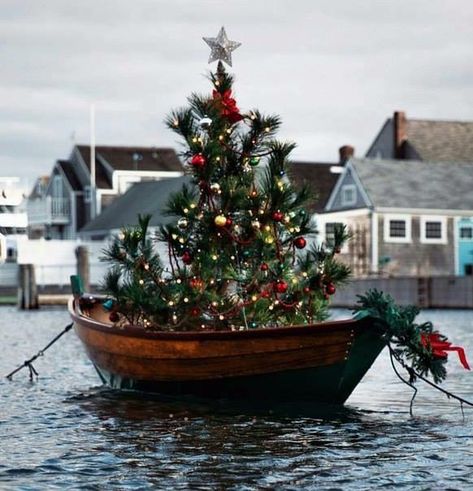 Christmas tree in a boat Nantucket Christmas, Pot Tree, Nautical Christmas, Christmas Time Is Here, Coastal Christmas, Merry Little Christmas, Christmas Love, Christmas Is Coming, Christmas Joy