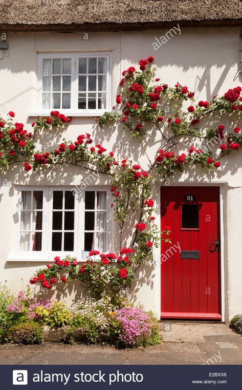 Climbing Rose House High Resolution Stock Photography and Images - Alamy White Cottage House, Garden Cottage House, Climbing Roses Trellis, Red Climbing Roses, Rose Garden Design, Wall Climbing, Climbing Flowers, Rose House, Trendy Plants