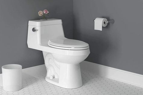 Toilet Ring, Liquid Waste, Dual Flush Toilet, Bob Vila, Solid Waste, Wall Hung Toilet, Toilet Tank, Flush Toilet, One Piece Toilets