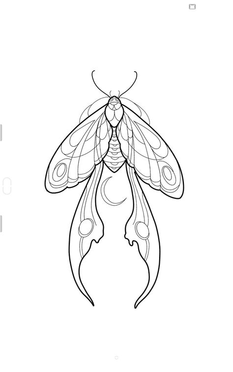 Moths Tattoo Design, Moth Tattoo Line Art, Moth Henna Tattoo, Line Art Stencil, Luna Moth Line Art, Lunar Moth Tattoo Design Simple, Luna Moth Drawing Simple, Cottagecore Line Art, Moth Line Tattoo