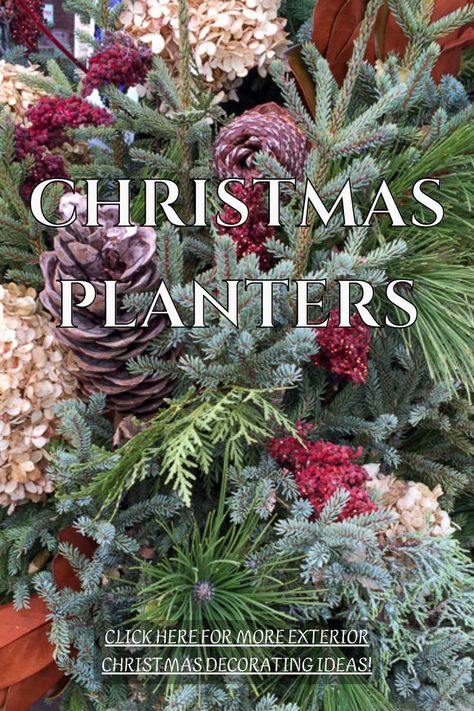 Winter Container Plants Front Porches, Outdoor Winter Container Ideas, Christmas Greenery Arrangements Outdoor, Christmas Outdoor Urns Planters, Plants And Christmas Decor, Evergreen Pots Front Doors, Christmas Container Arrangements, Christmas Landscape Ideas, Decorating Outdoor Christmas Trees