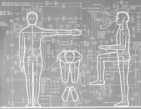 Object Guerilla: Henry Dreyfuss Human Measurements, Henry Dreyfuss, American Bathroom, Human Dimension, Concept Diagram, Anatomy Poses, Book Illustration Art, Room Color Schemes, Wood Carving Patterns