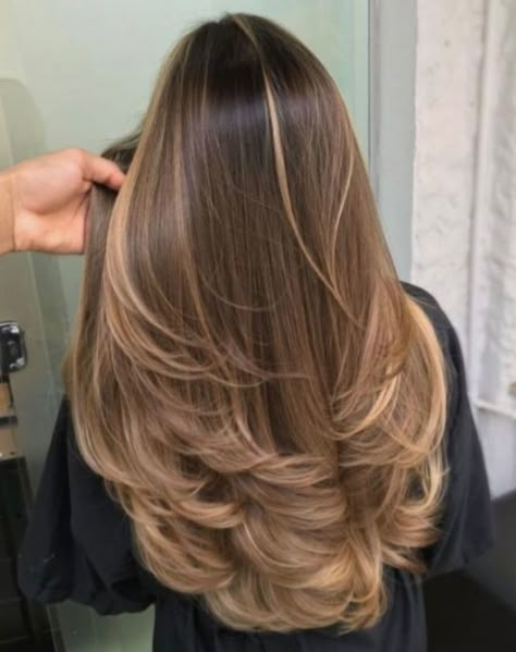 Highlights Brown Hair Balayage, Caramel Hair, Brown Hair Balayage, Hair With Highlights, Balayage Hair Blonde, Highlights Brown Hair, Fresh Hair, Brown Blonde Hair, Auburn Hair