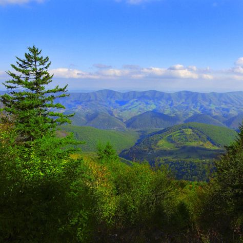 With over 500 hiking trails, countless places to fish, and much more, the Monongahela National Forest is a prime spot for any outdoor lover. Blackwater Falls State Park, Monongahela National Forest, Blackwater Falls, Romantic Retreat, Outdoor Playground, Outdoor Lover, Mountain Town, National Forest, Outdoor Fun