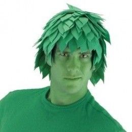 Jolly Green Giant, Wig Costume, Green Wig, Green Giant, Halloween 2014, Professional Advice, Diy Valentines Gifts, Costume Wigs, Costume Shop