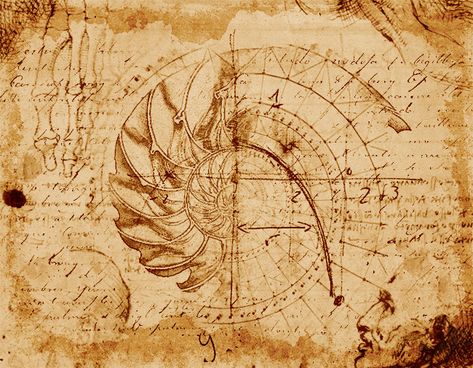 Lost Page Leonardo Da Vinci Codex The Golden Spiral Photoshop Tutorial | PSDDude Davinci Sketches, Leonardo Drawings, Codex Atlanticus, Da Vinci Inventions, Ink Making, Photoshop Sketch, Istoria Artei, Sketch Photoshop, Golden Spiral