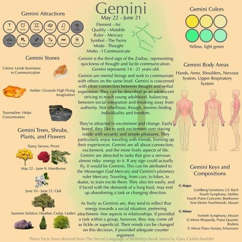 Virgo Qualities, Gemini Element, Gemini Color, Zodiac Signs Elements, Aries And Gemini, Basic Anatomy And Physiology, Astrology Planets, Astrology Gemini, Magic Spell Book