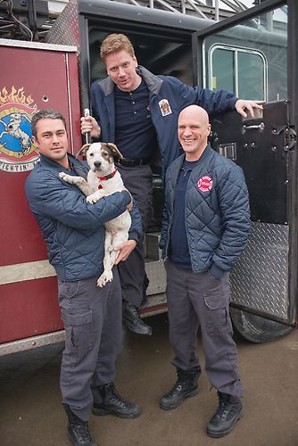 #ChicagoFire / NBC / Taylor Kinney / Pouch Chicago Crossover, Taylor Kinney Chicago Fire, Chicago Justice, Viral Photo, Chicago Fire Department, Chicago Family, Taylor Kinney, Chicago Shows, Chicago Med