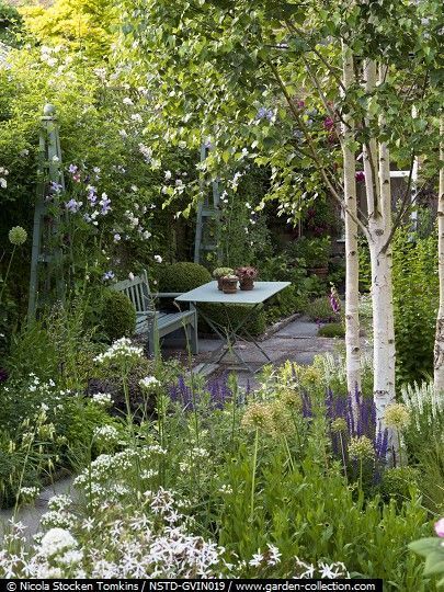 The Best Kept Secret to Dramatically Improving Your Curb Appeal Small Cottage Garden Ideas, Garden Seating Area, Cottage Garden Design, Have Inspiration, The Secret Garden, Woodland Garden, Garden Seating, Small Garden Design, Garden Cottage