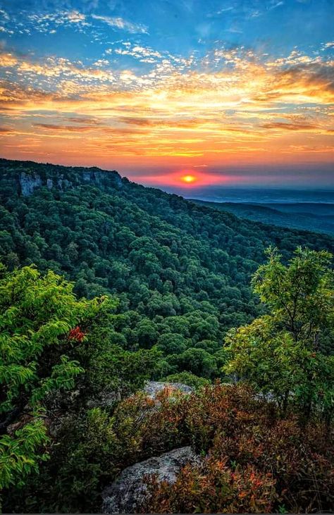 Arkansas Scenery, Arkansas Aesthetic, Arkansas Nature, Arkansas Mountains, Arkansas Photography, Mountain View Arkansas, Alpha Quote, Arkansas Travel, Southern Travel