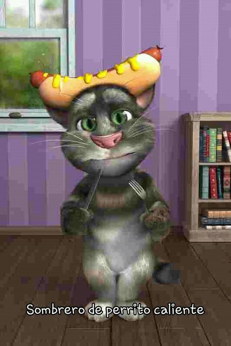 Perrito calient Talking Tom Cat 2, Talking Tom Cat, Tom Cat, Water For Elephants, Cat Talk, Talking Tom, Belly Laughs, Cat 2, Math For Kids