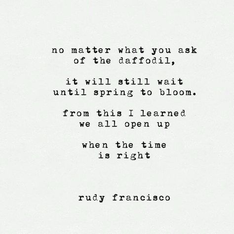 No matter what you ask of the daffodil, it will still wait until spring to bloom..We all open up when the time is right. Daffodil Quotes, Rudy Francisco, Love Inspiration, Poem Quotes, Wonderful Words, Some Words, No Matter What, Poetry Quotes, Typewriter