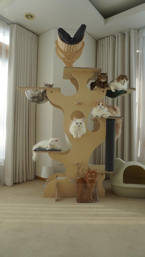 Claire Luvcat, Cat Room Decor, Anime Bedroom Ideas, Pet Cafe, Cat Area, Cat Gym, Cat Fence, Cat Hotel, Cat Tree House