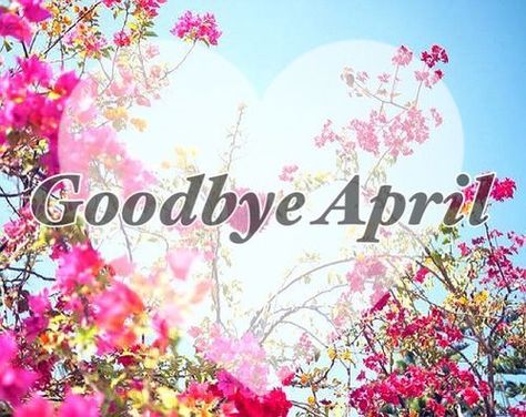 April Pictures, Bye April, Goodbye April, May Pictures, April Photo Challenge, Hello May Quotes, April Images, Neuer Monat, April Quotes