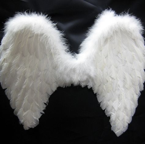 i need some feather angel wings for my dress form Feather Images, Play Props, Feather Angel Wings, Angel Feathers, Star Cards, Creative Valentines, Diy Valentines Crafts, Masks Masquerade, An Angel