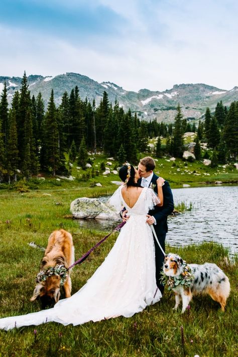 If you had told me 5 years ago that I would be shooting an adventurous elopement in Colorado, I would’ve passed out on the spot. This was always a dream of mine; to combine my love of travel, hiking, and nature with my job. So when Kat and Nathan messaged me telling me their plans to hike to a remote lake in Colorado to elope, I couldn’t respond “YESSSS” fast enough. Mountain Theme Wedding, Leadville Colorado, Hiking With Dogs, Colorado Mountain Elopement, Elopement Pictures, Adventurous Elopement, Colorado Wedding Elopement, Elopement Colorado, Hiking Elopement