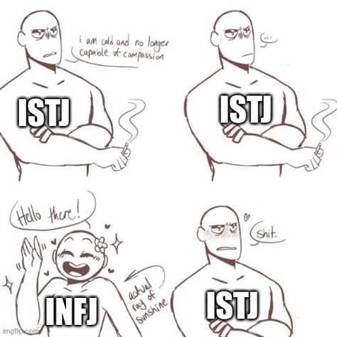 Infj Istj, Infj Ships, Mbti Couples, Istj Relationships, Mbti Compatibility, Infj Relationships, Personalidad Infj, Mbti Istj, Infj Humor