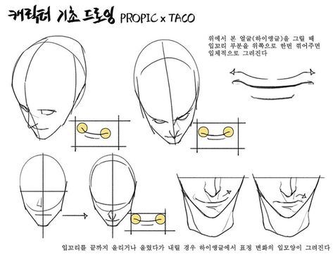 When the face is viewed from a high angle, it gives the mouth a 3-dimensional appearance when the corners of the mouth are curved upwards.  A change in the facial expression will be portrayed when the corners curve all the way up then brought back down (seen from a high angle). Different Head Angles, Taco Drawing, Head Angles, 얼굴 드로잉, Anatomy Tutorial, Drawing Heads, Anatomy Sketches, Body Reference Drawing, Drawing Studies