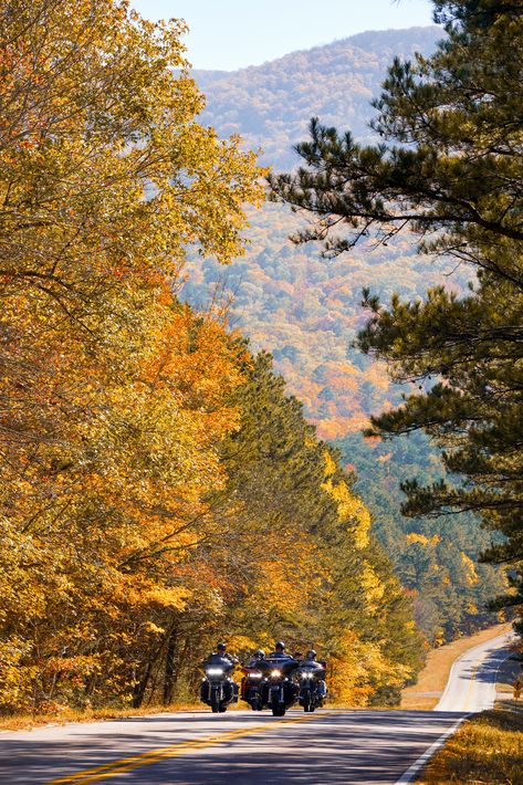 Experience the magic of fall as you cruise through Talimena Scenic Drive!🍂🏍️ With stunning autumn colors at every turn, it’s the perfect road trip for thrill-seekers and nature lovers alike. #VisitChoctawCountry Perfect Road Trip, Scenic Byway, Winding Road, Scenic Beauty, Scenic Drive, Autumn Colors, Drive In, Historical Sites, Nature Lovers