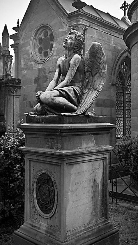 Dark Angelcore, Arch Angels, Dark Book, Cemeteries Photography, Goth Gifts, Gothic Statue, Cemetery Angels, Book Vibes, How To Impress