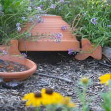 Toad Habitat Gardens, Toad Houses For The Garden Diy, Toad Houses For The Garden, Diy Toad House, Toad Habitat, Toad Pond, Wildflower Yard, House In Garden, Toad Garden