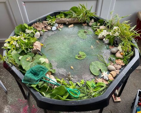 Trough Ideas Preschool, Green Activities Eyfs, Frog Tuff Tray Ideas, Outdoor Water Tray Ideas Eyfs, Frog Tuff Tray, Oi Frog Activities Eyfs, Frogs Eyfs, Minibeasts Eyfs Activities, Spring Tuff Tray