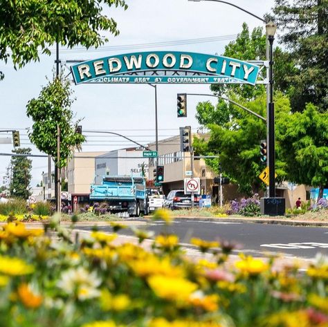 Top 10 Places To Visit In Redwood City, CA | Silicon Valley Water Temple, Travel California, Beer Pub, Menlo Park, Redwood City, Canoe And Kayak, Silicon Valley, San Francisco Bay, San Francisco Bay Area