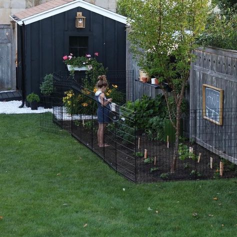 Storage Basement, Black Shed, Shed Makeover, Art Deco Decor, Backyard Sheds, Black Garden, Backyard Shed, Deco Decor, Backyard Inspiration