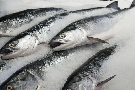 When shopping for fish, don't forget the freezer section. Buying frozen fish is often better than buying fresh fish. Frozen Fish Fillets, Frozen Fish, Frozen Salmon, Sockeye Salmon, Tea Eggs, Fish Fillet, Fresh Fish, Seafood Dishes, Frozen Food