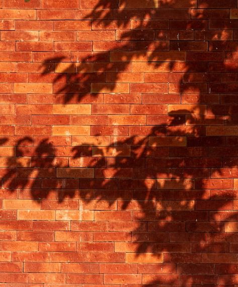 Earth Tones Paint, Brick Wall Texture, Brooklyn Design, Old Brick Wall, Brick Background, Orange Brick, Brick Texture, Stone Path, Old Bricks