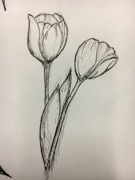 Tulip Flower Drawing Pencil, Flowers Sketch Aesthetic, Drawing Ideas Tulips, Fine Liner Flowers, Drawing Tulips Flower, Tulip Drawing Pencil, Tulips Aesthetic Drawing, Flower Drawing Tulip, Tulips Drawing Aesthetic