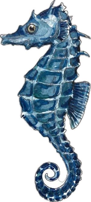 Seahorse Drawing, Seahorse Art, Horse Drawings, Sea Horse, Gcse Art, Sea Animals, Sea Life, Needlepoint, Nautical