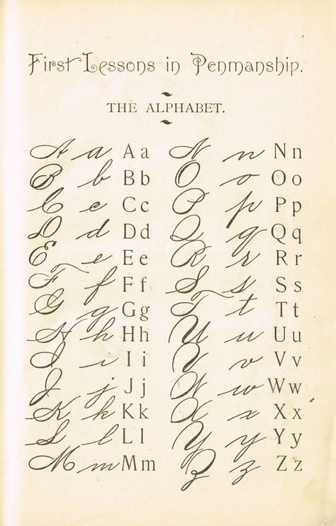 Penmanship Alphabet 1800's school primer -This is the style of penmanship my grandmother used. She was born in 1890.  KnickofTime.net Penanda Buku, Cursive Alphabet, Alfabet Letters, Typography Alphabet, Seni Dan Kraf, Cursive Handwriting, In Cursive, 카드 디자인, Calligraphy Alphabet