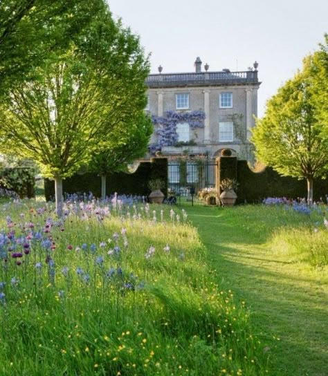 Highgrove Garden, Highgrove House, Wild Flower Meadow, French Country Garden, Meadow Garden, Trees And Flowers, Royal Garden, Have Inspiration, Wildflower Garden