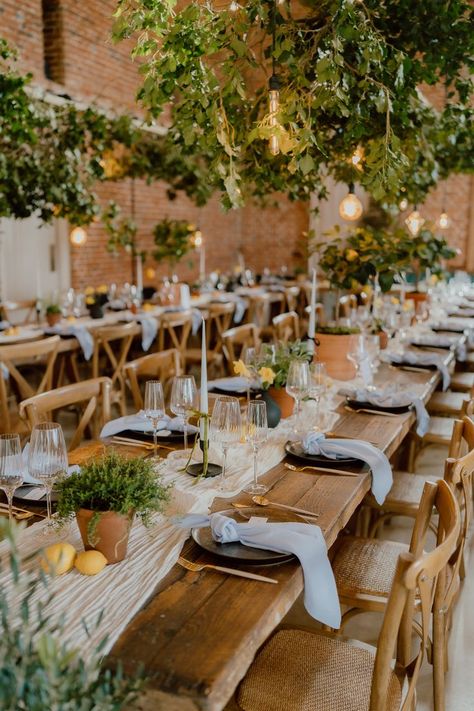 This shows a dining set up in a Godwick Great Barn. This shows two long rectangular rows of dining tables. Above the tables are ivy hanging boards with light bulbs hanging from them. On the tables are white muslin table runners, with terracotta pots of lemon trees, herbs, black round vases of fresh dandelion flowers and black candlesticks with white taper candles. Alongside the greenery are black plates and blue napkins. Mediterranean Tablescape, Dining Tablescapes, Mediterranean Table, Herb Wedding, Mediterranean Vibes, Rustic Mediterranean, Wedding Dining, Rustic Wedding Table Decor, Barn Photography