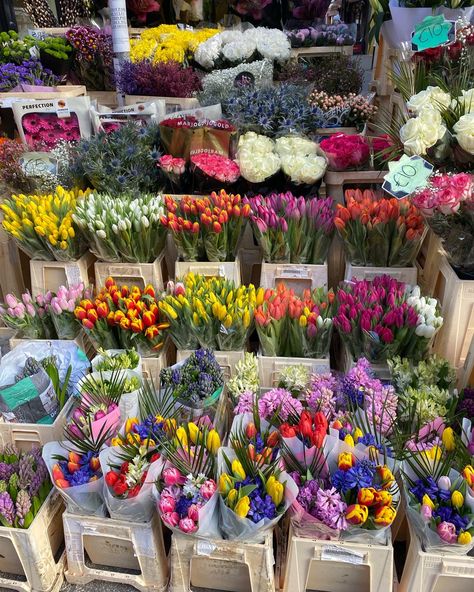 This is a stand with bunches of colourful flowers such as tulips for sale. Flower Stall, Grafton Street, Dublin City, Nothing But Flowers, Ireland Travel, Pretty Flowers, A Flower, Dublin, Flowers Bouquet