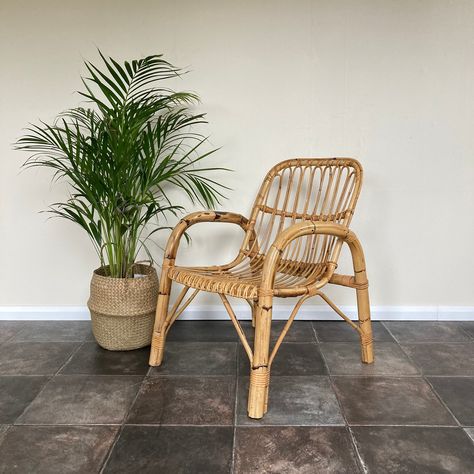 Mid Century Vintage Boho Bamboo Chair / Cane Chair / Wicker Chair / Conservatory Seating Vintage Bamboo Chairs, Bamboo Chairs, Boho Chair, Bamboo Chair, Cocktail Cabinet, Cane Chair, Mid Century Vintage, Mid Century Furniture, Wicker Chair