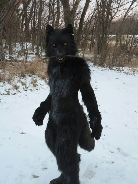 Werewolf fursuit 2 Wolf Inspired Outfits Male, Werewolf Cosplay Men, Black Wolf Costume, Realistic Wolf Fursuit, Werewolf Costume Men, Cute Werewolf Costume, Werewolf Fursuit, Realistic Wolf Mask, Bear Fursuit