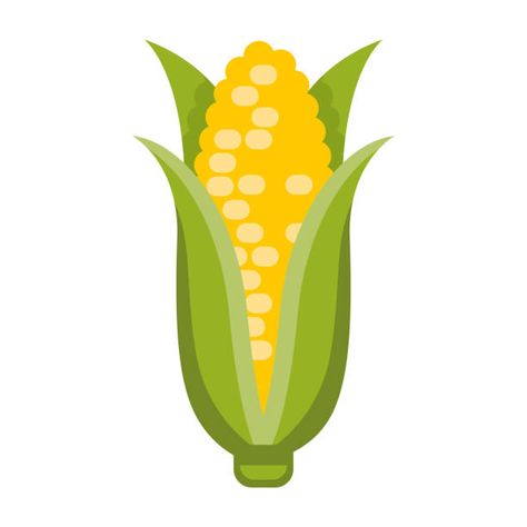 Thanksgiving Icon, Corn Vegetable, Corn Crop, Flat Design Icon, Vegetable Design, Mexican Corn, Corn Cob, Ears Of Corn, Hand Drawn Vector Illustrations