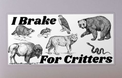 Girl Car, Car Breaks, Car Girls, Bumper Sticker, An Animal, Bumper Stickers, Animal Lover, Novelty Sign, For Sale