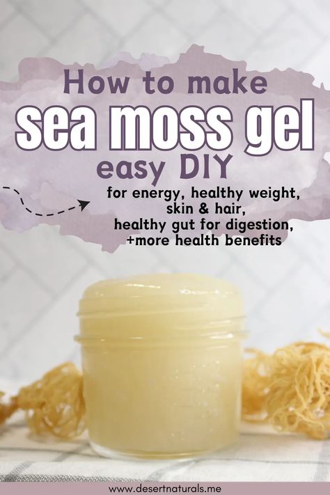 homemade jar of sea moss jgel Sea Moss Oil Recipe, How To Make Sea Moss Gel With Fruit, Diy Seamoss Gel, How To Make Sea Moss, Diy Sea Moss Gel, How To Make Sea Moss Gel, Seamoss Gel Recipes, Sea Moss Gel Recipes, Sea Moss Recipes