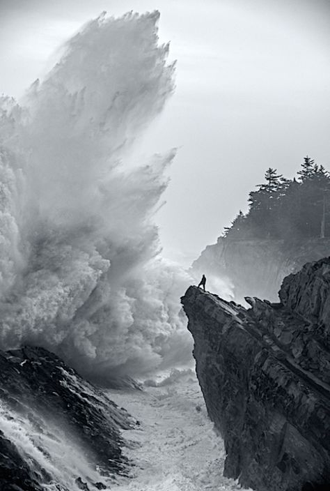 One of the most majestic pictures I have ever seen! - Imgur Feed In, Let Them, Foto Art, Ocean Waves, Amazing Nature, White Photography, Black And White Photography, Beautiful World, A Garden