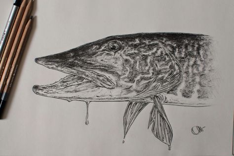 Pencil drawing Montana Art, Northern Pike, Instagram Painting, Pike Fishing, Challenge Me, Moon Art, Pencil Drawing, Art Drawing, Pencil Drawings