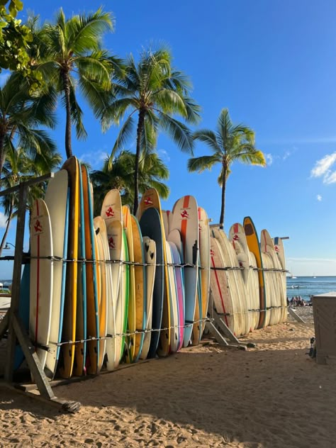 Hawaii Beach Aesthetic, Hawai Surf, Charleston Beaches, Surfing Aesthetic, Surf Aesthetic, Aloha Collection, Surf Vibes, Beach Posters, Ocean Vibes