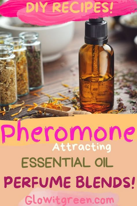 Make DIY perfume blends with attraction properties at Glowitgreen.com! Pheromones, the mystical chemical compounds in our bodies that signal attraction, can be mimicked by certain essential oils and mixed into recipes to inspire love, attraction, and warmth! Click for more information about pheromone scents, and be inspired by these blend recipes to create your love potions! Love Potion Essential Oil Blend, Pheromone Essential Oil Blend, How To Make Pheromone Oil, Diy Pheromone Perfume, Pheromone Perfume Diy, Bottle Spells, Essential Oil Cologne, Body Oil Diy, Diy Perfume Recipes