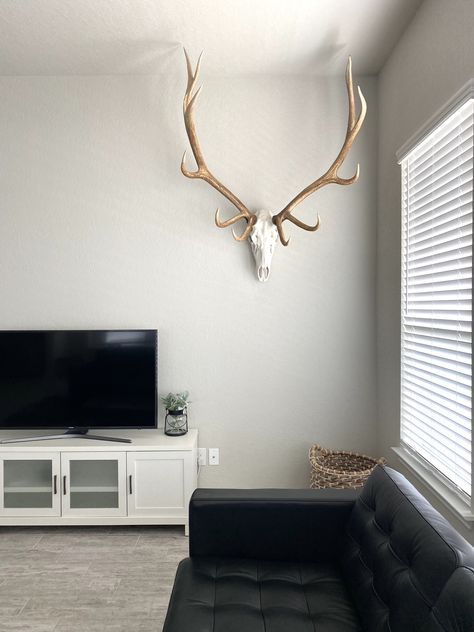 Deer Skull Living Room, Elk Head Mounts Living Rooms, European Mount Decor, Elk Skull Decor, Elk Mount, European Skull Mount Hanger, Elk Skull, Deer Skull Decor, Mounted Deer Skull