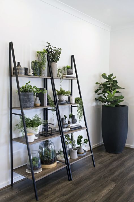 A Budget Indoor Vertical Garden that's Easy to Create Kmart Hack, Vertical Garden Indoor, Vertical Gardens, Industrial Shelving, Luxury Decor, Design Living, Rustic Diy, Vertical Garden, Living Room Interior